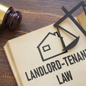 加州租赁法：强制搬迁和装修损失赔偿